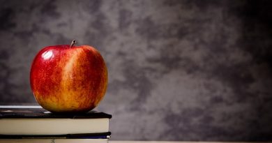 De Skjulte Skatte: Æblernes Ernæringsmæssige Fordele